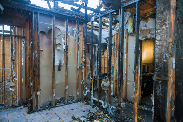 Professional Fire Damage Removal technician working in Jackson, MN