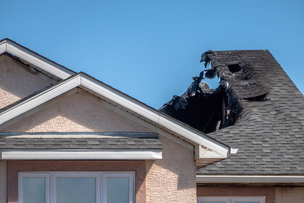 Top rated local Fire Damage Removal specialists in Jackson, MN